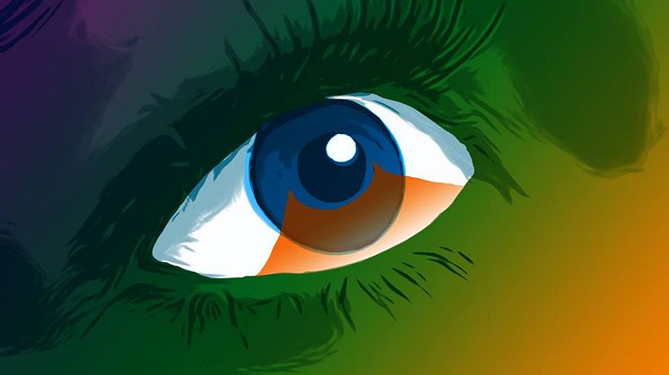 Profil Optik har samlet 7 gode råd til kontaktlinsebrugerne på Roskilde Festival