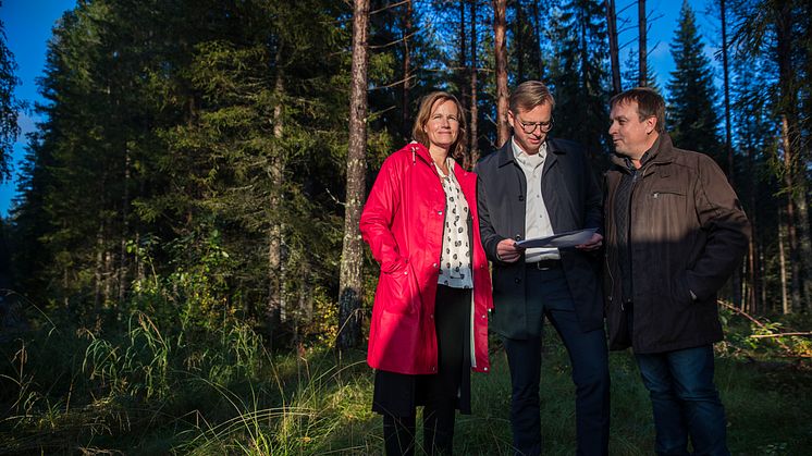 Kommunchefen Kristina Sundin Jonsson, närings- och innovationsminister Mikael Damberg och kommunalrådet Lorents Burman (S), mitt i skogen på den plats som Skellefteå erbjuder som etableringsmöjlighet för Northvolts batterifabrik.