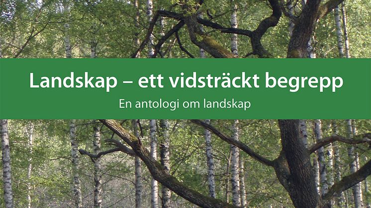 KSLAT 5-2019 Landskap – ett vidsträckt begrepp