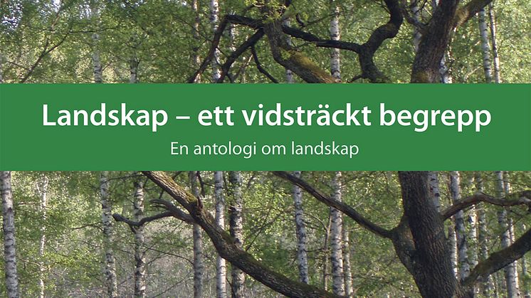 KSLAT 5-2019 Landskap – ett vidsträckt begrepp