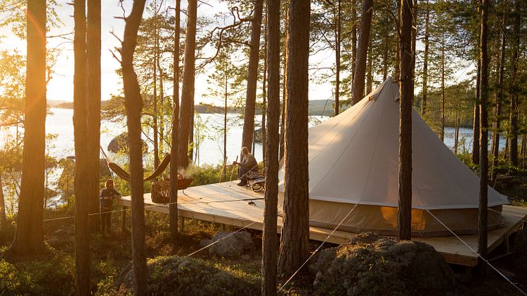 Foto: Jakob Wallin, Korså Forest Camp/Wild Sweden.