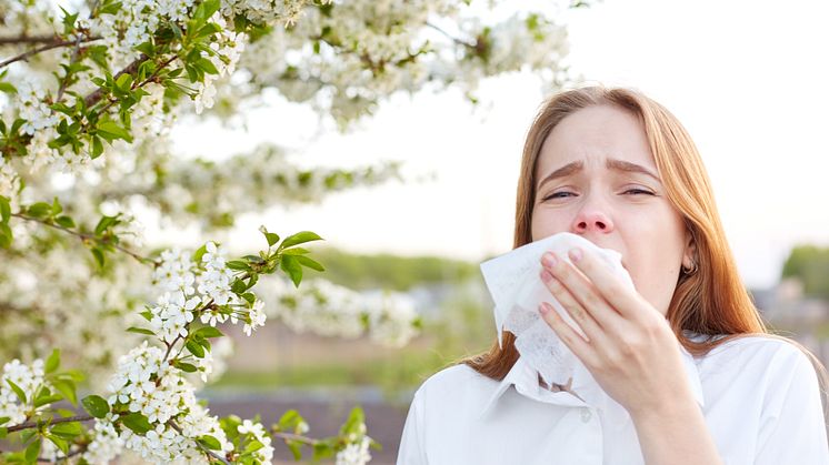 algovir_Allergie oder Erkaeltung_iStock_1088395848