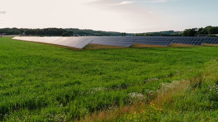 Förnybar energiproduktion, som en gång ansågs vara ett dyrt alternativ, bryter nu kostnadsbarriärer och omdefinierar sin roll i vår framtida energimix. 