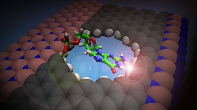 En molekyls dipolmoment påverkar den elektriska potentialen i en atomkedja och ändrar därmed den elektriska strömmen i materialet. Figure: Ralph Scheicher.