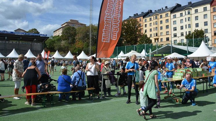 Midnattsloppet, en succé även i år