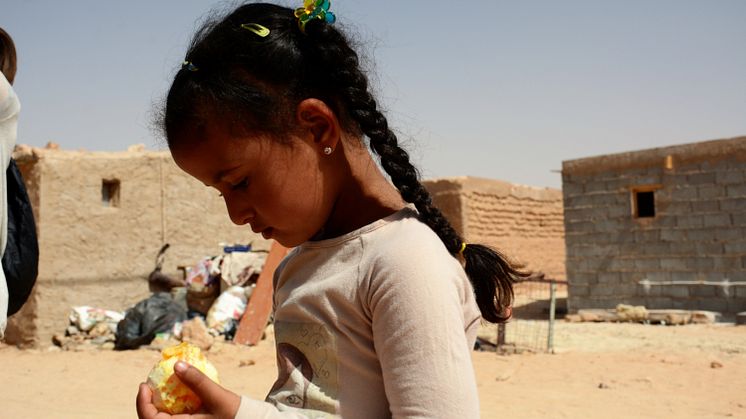 Västsahara i Almedalen: Handel före folkrätt? 