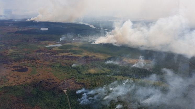 Ljusdalsbranden. Foto: Anders Granström, SLU.