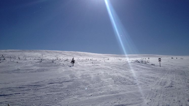 Över 30 lediga drömjobb i Vemdalen!