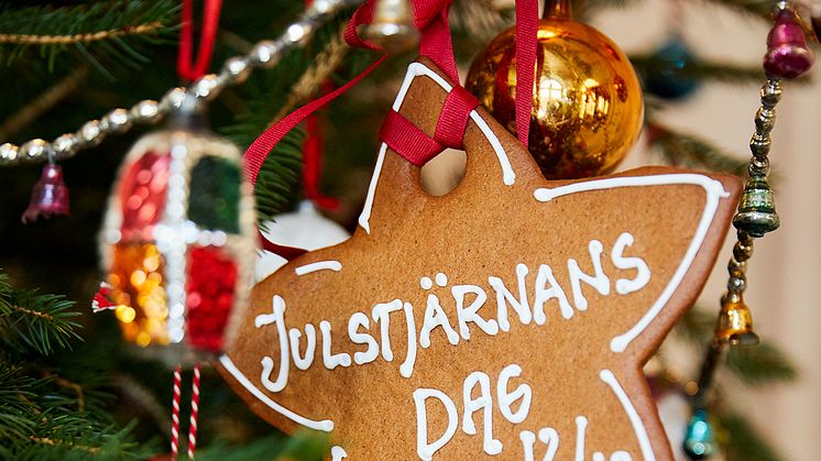 ​Den 12 december firar vi Julstjärnans Dag. Blomsterfrämjandet har träffat floristen och blomsterinspiratören Karl Fredrik på Eklaholm som ger sina bästa julstjärnetips.