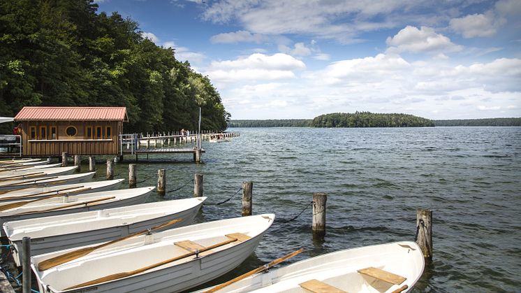 Das hätte vielleicht Fontane für heiße Tage empfohlen: Ein Besuch am Stechlinsee (TMB-Fotoarchiv/Steffen Lehmann)