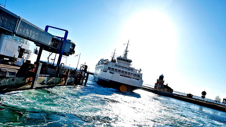 10.000 Rhododendren: Mit Scandlines ins Blütenmeer von Schloss Sofiero