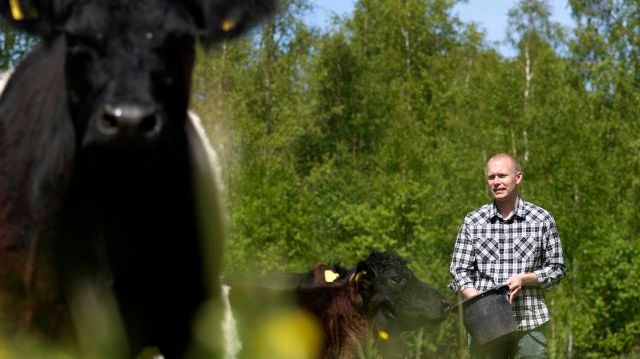 För Sveriges drygt 20 000 hushåll som drev småbruk som enskild firma ökade inkomsten med knappt 3 procent mellan 2019 och 2020. Foto: Johnny Franzén