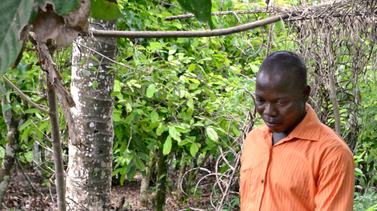 Mondelēz International Advances Forest-Protection Efforts in West Africa
