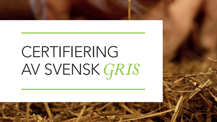 Vill du veta mer om svensk grisuppfödning?