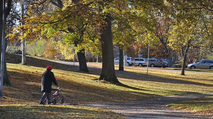 Dzenana_Basic_Stadsparken_höst_2012 013