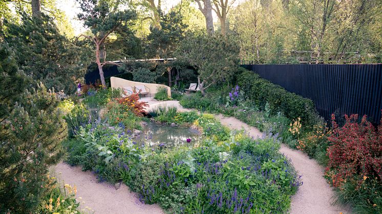 The Stroke Association's Garden for Recovery at RHS Chelsea Flower Show 2024
