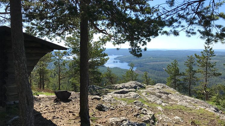 Ärtknubben i Leksands kommun tillhör ett av de nya naturreservaten. Foto: Länsstyrelsen i Dalarnas län