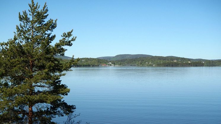 Kungl. Skogs- och Lantbruksakademien söker en avdelningssekreterare