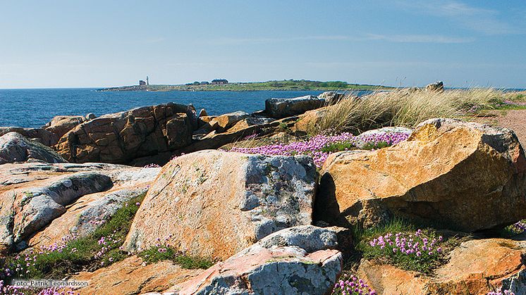 Turista Hemma 10 maj – ett återkommande evenemang för halmstadborna