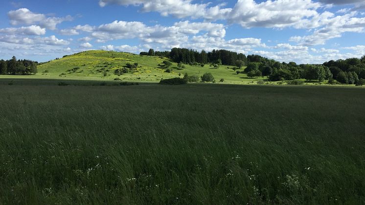 Granholmstoppen är en konstgjord kulle med utsikt över Järvafältet. Här ligger prisbelönta aktivitetsparken Järva DiscGolfPark, och här vill Stockholms stad anlägga en begravningsplats.