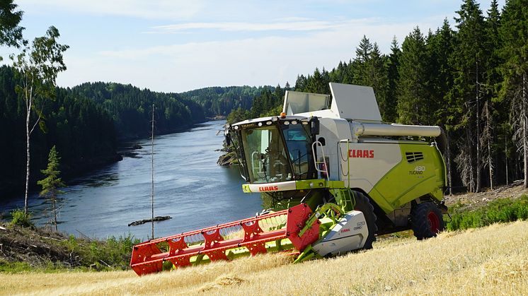 Nye TUCANO MONTANA var en av bidragsyterne til at CLAAS ble landets mest solgte treskermerke i 2019. 