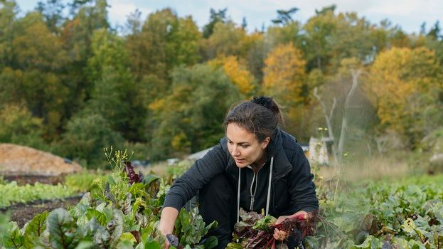 Åsa Domeij leder ny plattform för omställning till cirkulär ekonomi