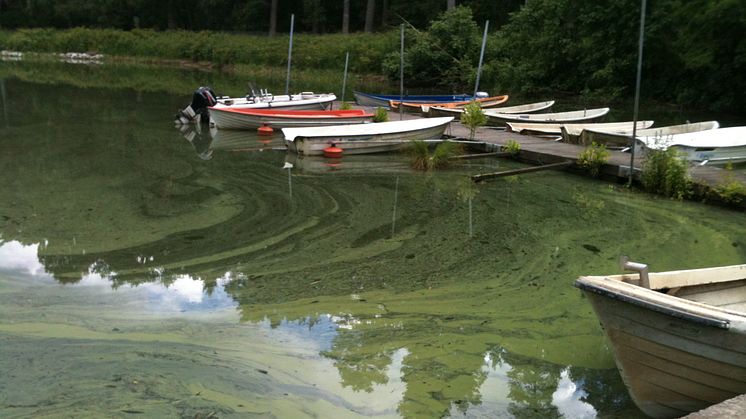 34 miljoner till VillageWaters – samarbete mellan sex länder runt Östersjön