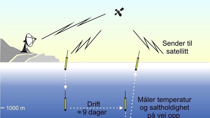 Figur: Ti dagers syklusen til en Argo-bøye