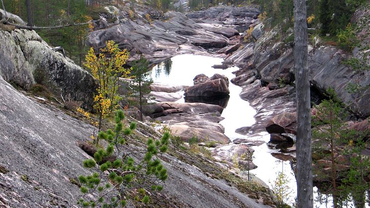 Svenska klippraviner bildades av floder under istäcket
