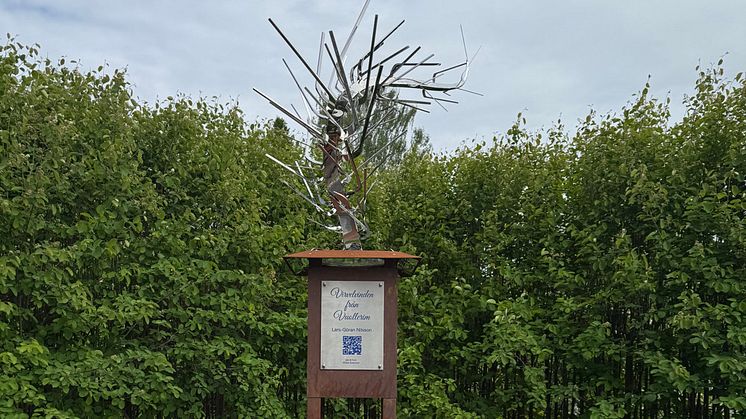 Skulptur i Laestadiusparken hyllar Vuollerims ishockeylegend