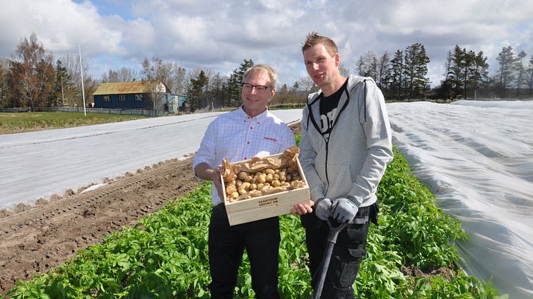 Potatisodlare Ted Ivarsson tillsammans med Hemköps representant Marcus Regnander 