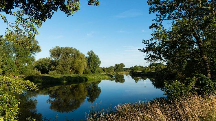 “Time for Nature”: Veolia unterstützt den internationalen Tag der Umwelt 2020 mit verschiedenen Aktionen