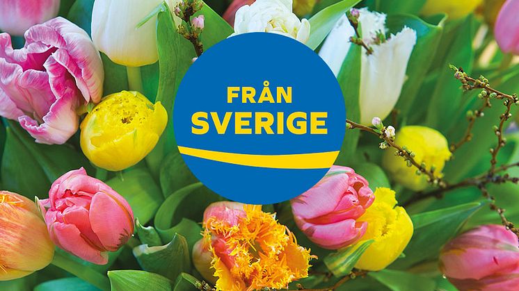 Tulpanens dag firas den 15 januari 2018 på Centralstationen i Stockholm. Arrangörer är ursprungsmärkningen Från Sverige och Blomsterfrämjandet.