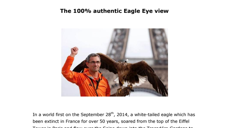 The 100% authentic Eagle Eye view 