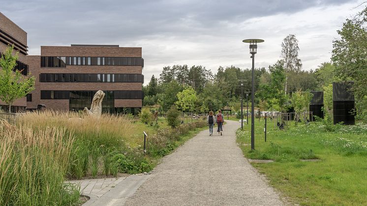 Campus Ås - Gangvei