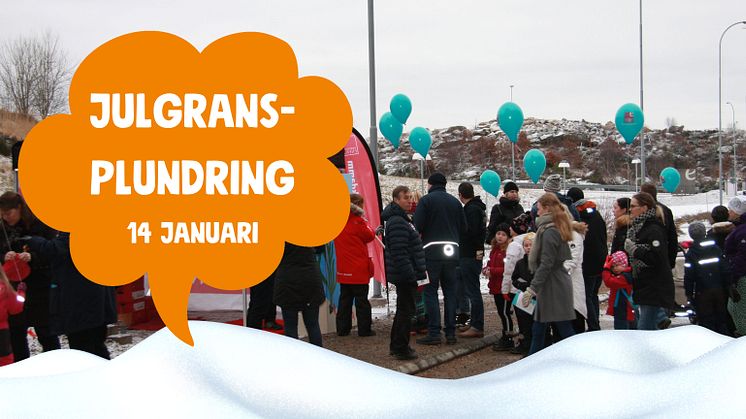 Välkommen till vår årliga julgransplundring 14 januari