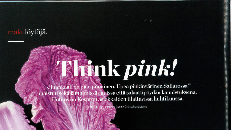 Kespro i Finland uppmärksammar nyheten Sallarossa™!