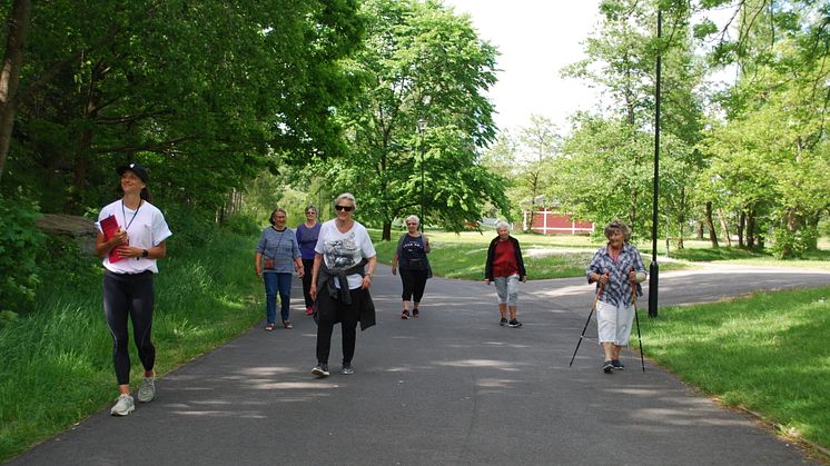 Seniorpromenader med styrkepaus som efter hand utökades med minigolf, fika och skräpplockning blev en succé.