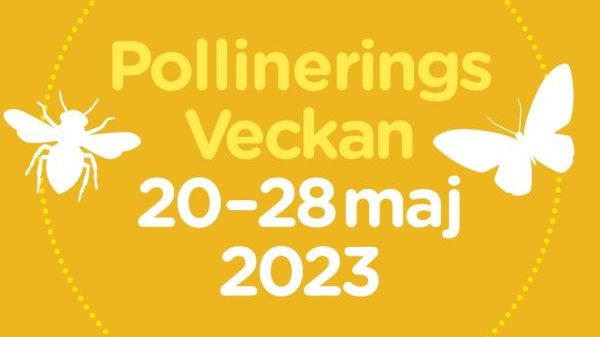 Pollineringsveckan invigs med SURR