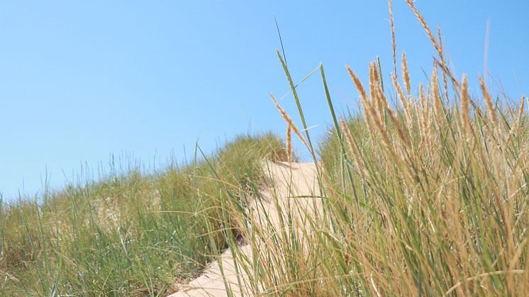 Nu finns Sommarbiljetten i appen och våra andra försäljningskanaler. 