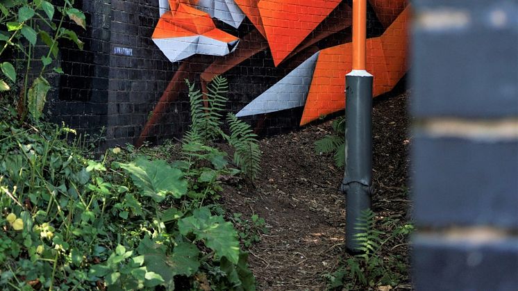 Urban fox artwork turning heads at Wylde Green station in Birmingham