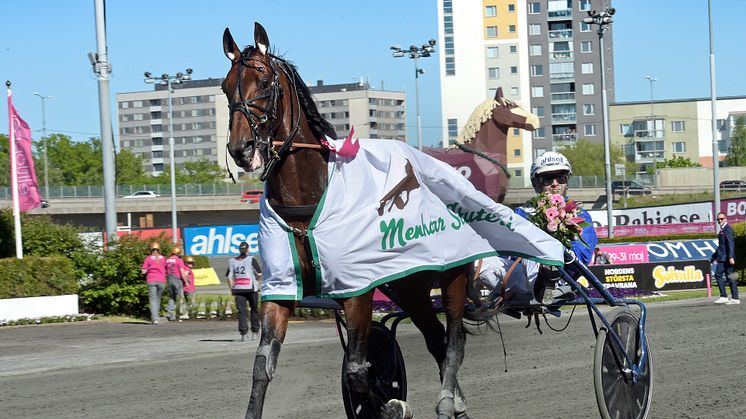 Ecurie D gör en spännande start i Sofiero Bryggeri presenterar Hugo Åbergs Memorial.