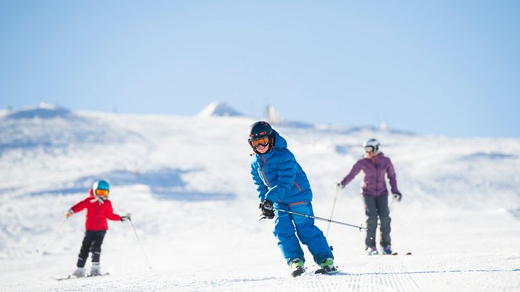 Skidåkning i fjällen