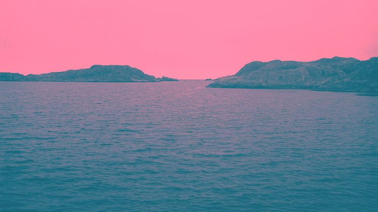 Charlotta Hammar, Dazzling Pink Glowing Sea, 2022