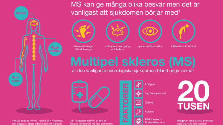 Infografik MS