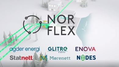 Norflex