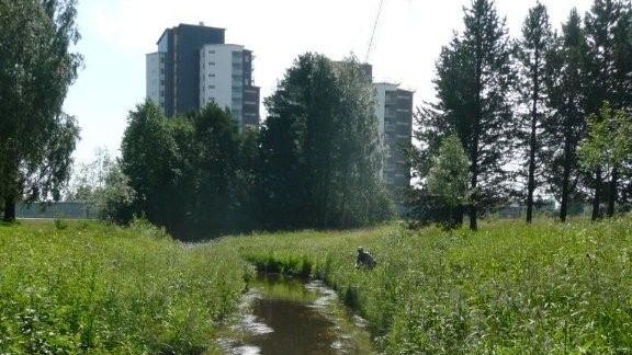 Enklare att fiska i Umeälven