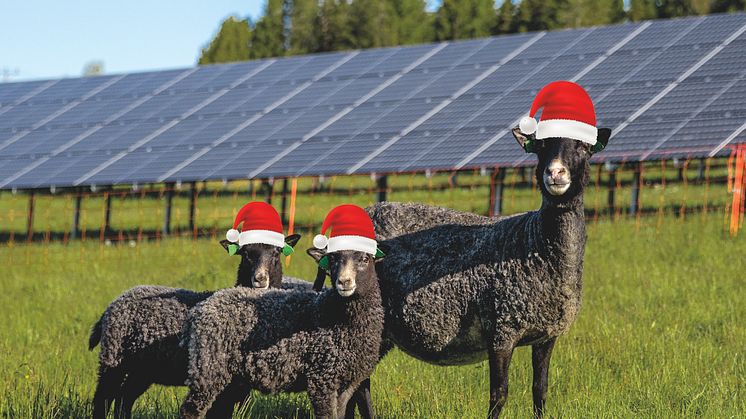 Investera i en lokalproducerad och hållbar julklapp - solabonnemang i Solhagen i Torphyttan. Fotomontage: Linde energi.