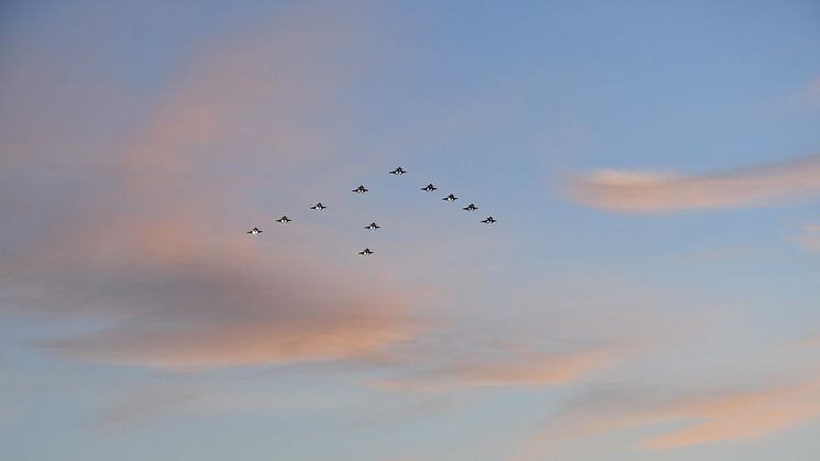 Tidigare julgransflygning över F17 i Ronneby