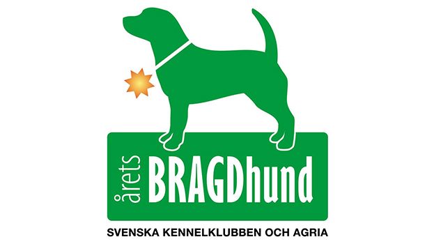 Nominera Årets bragdhund 2015